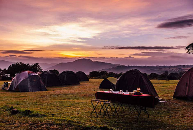 Tanzania 2 day trip to Tarangire National Park and Ngorongoro crater will be a safari full of adventures.