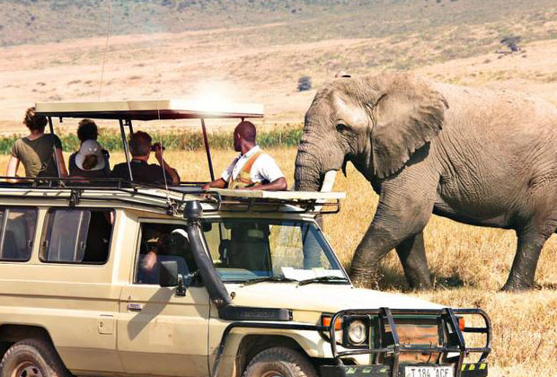This 2 day safari option is a great way to experience some of Tanzania’s amazing wildlife within a short period of time