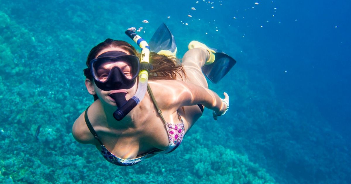 Snorkeling tours Love being underwater? You can snorkel off the north east as well as the east coast of Zanzibar..