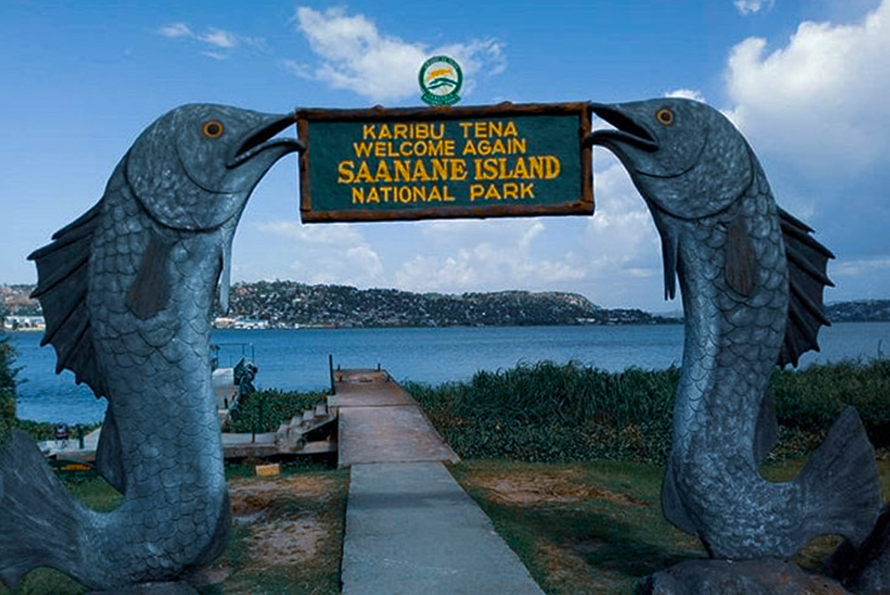 A newly created national park designed only since 2013, Saanane Island National Park comprises of only three small islets and its surrounding environment which cover roughly 2.18 sq km. Thus, it is the smallest national park both in Tanzania and East Africa.